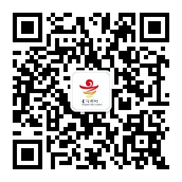 自贡市星河彩灯文化有限公司